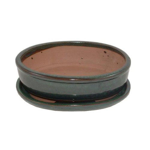21cm Green Oval Bonsai Pot and Tray Set