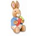 Kids Preferred The World of Beatrix Potter Nursery Waggie Musical Peter Rabbit