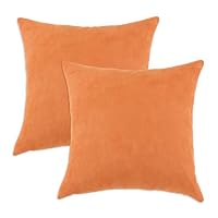Chooty Slam Dunk Tangerine Simply Soft 17 by 17-Inch KE Synthetic Down Like Fiber Pillow, Set of 2