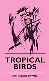 Tropical Birds