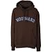 Woodward Men's College Logo Pullover Fleece Hoody