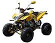Quad 200 Sport ATV von Benzhou