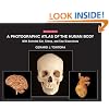 A Photographic Atlas of the Human Body: With Selected Cat, Sheep, and Cow Dissections