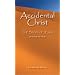Accidental Christ -- The Story of Jesus (As Told by His Uncle)