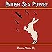 British Sea Power, Please Stand Up, 発売中