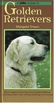 A Guide to Golden Retrievers