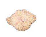 Wood Wool 10 lbs.