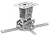 QualGear PRB-717-WHT Universal Ceiling Mount Projector Accessory