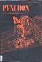 Pynchon: A Collection of Critical Essays (20th Century Views)