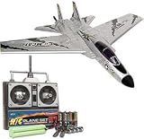 F-14 Tomcat RC Electric RTF Plane by HobbyTron.com