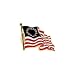 Waving Betsy Ross Flag Lapel Pin Image