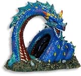 Blue Ribbon Spiral Sea Dragon Cave
