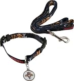 Florida Panthers Dog Collar & Leash Set