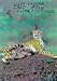 Books : Big Cats (Portrait of the Animal World)