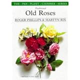 Traditional Old Rosespar Roger Phillips