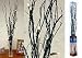 Branch Twig Fairy Lights Black 60cm Led Battery Powered