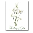 Lis St. Bruno - Thinking of You Gift Enclosure Cards (set of 12)