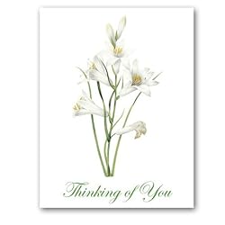 Lis St. Bruno - Thinking of You Gift Enclosure Cards (set of 12)