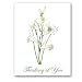 Lis St. Bruno - Thinking of You Gift Enclosure Cards (set of 12)