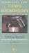 Using Microscopy Getting Started Using Microscopy Getting Started