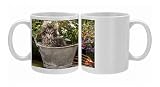 Norwegian Forest Cat - in metal planter with flowers Photo Mugs