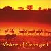 Vision of Serengeti
