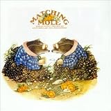 Matching Mole