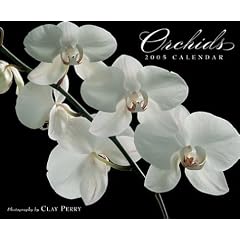 Orchids: 2005 Wall Calendar