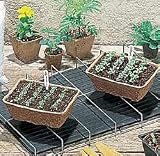 Seed Starting - Park's Seed Flat