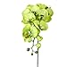 1 x Artificial Butterfly Orchid Flower Plant Home Decor - Green