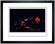 Miles Davis Takes A Solo, 1970 - Fine Art Print