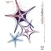 Adobe GoLive CS2.0 ���{��� Windows��