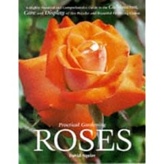 Roses (Practical Gardening)