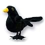 Finger Puppet: RSPB Blackbird