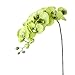 1 x Artificial Butterfly Orchid Flower Plant Home Decor - Green