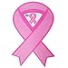 Pink Ribbon Breast Cancer Awareness Relay for Life 2 in 1 Car Magnet Great for Fundraising New Style