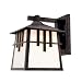 Kitchen & Housewares : Savoy House Craftsman Outdoor Wall-Mounted Lantern