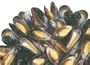Charleston Seafood Mussels, 64-Ounce Box