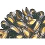 Charleston Seafood Mussels, 32-Ounce Box