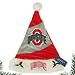 Ohio State 09 Santa Hat