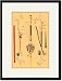 Black Framed/Matted Print 17x23, Saw Duang and Bow