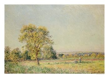 A Summer's Day by Alfred Sisley