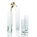 Leonardo Column Vase 20x6