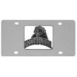 Pittsburgh Panthers Logo License Plate - NCAA College Athletics - Fan Shop Sports Team Merchandise