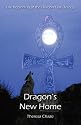 Dragon's New Home