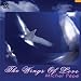 Musique : The Wings of Love