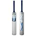 Sporting Goods : Slazenger V900 Supreme Cricket Bat