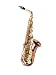 Yanagisawa 902 Bronze Alto Saxophone