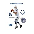Peyton Manning Indianapolis Colts Wall Decal