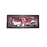Dale Earnhardt Panoramic Series Photo